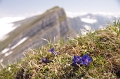 Torloch Huette 1783m Fruemsel 2267m 17_06_2012 (100)